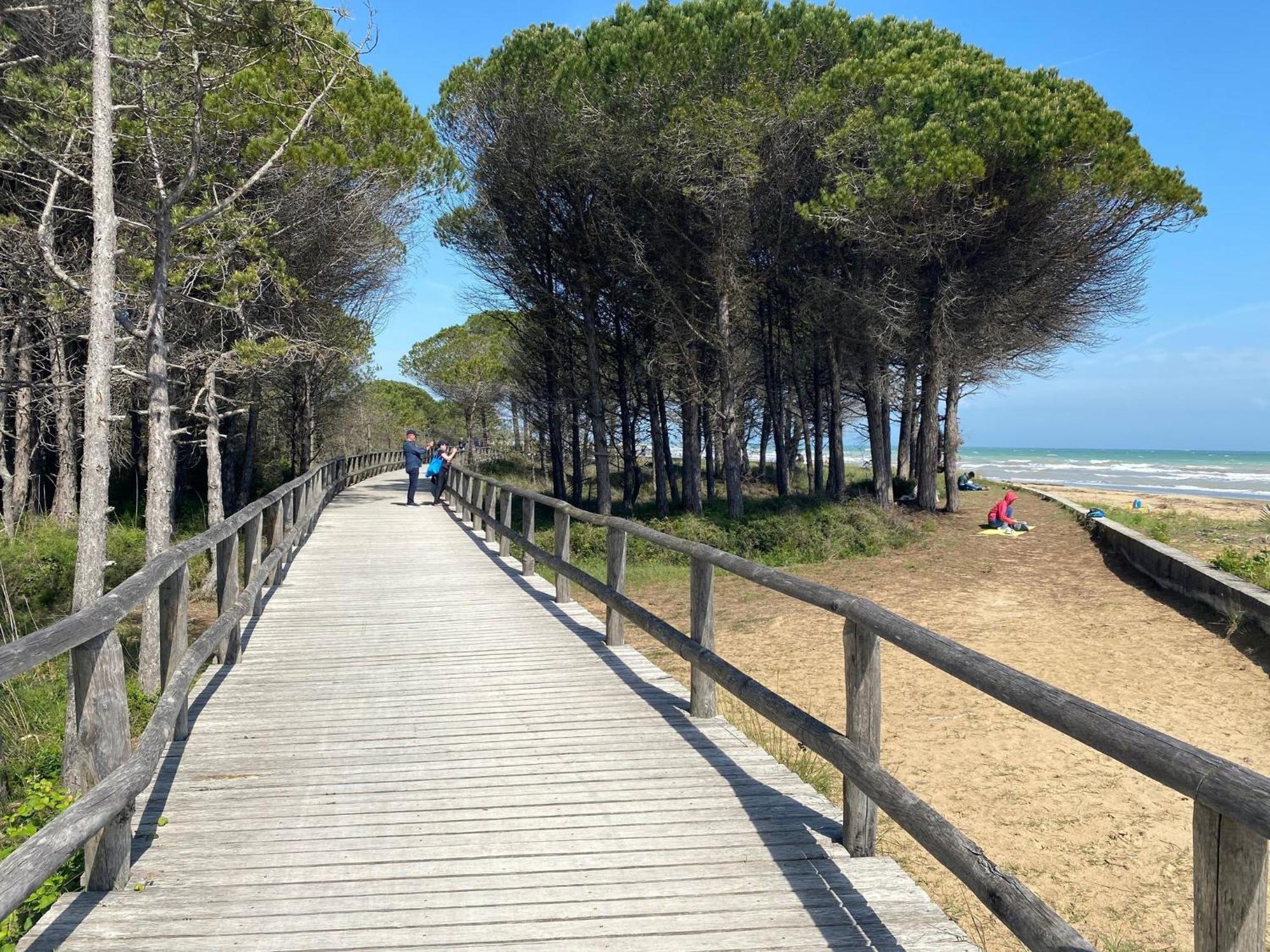 Precious In With Swimming Pool Bibione